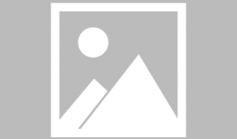 神马伦理视频,解码道德边界与人性探讨